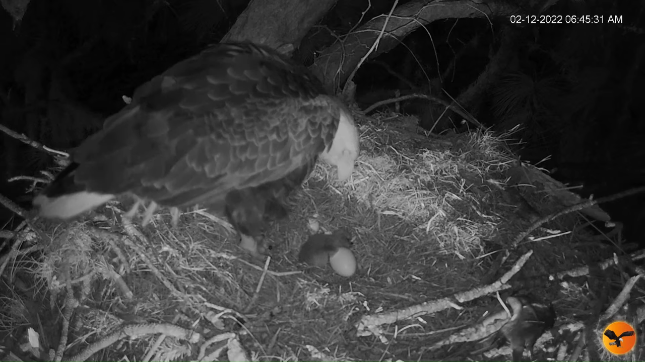 EC 4K Overhead Cam 12-27-31 screenshot