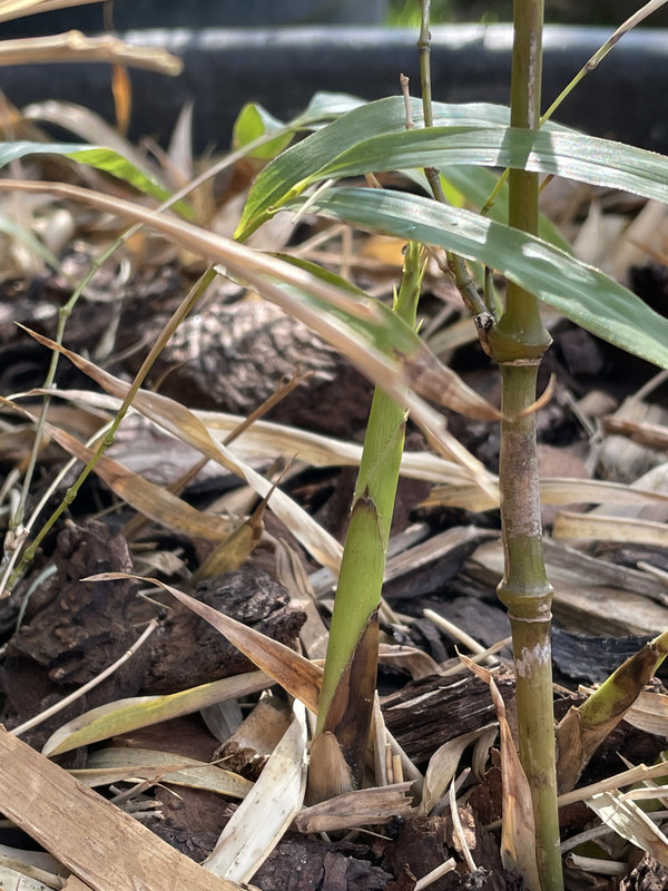 18758848-EC96-44E4-8DB7-8C5CEA194ED6