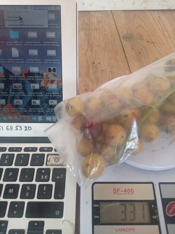 IMG_20240106_124818_01