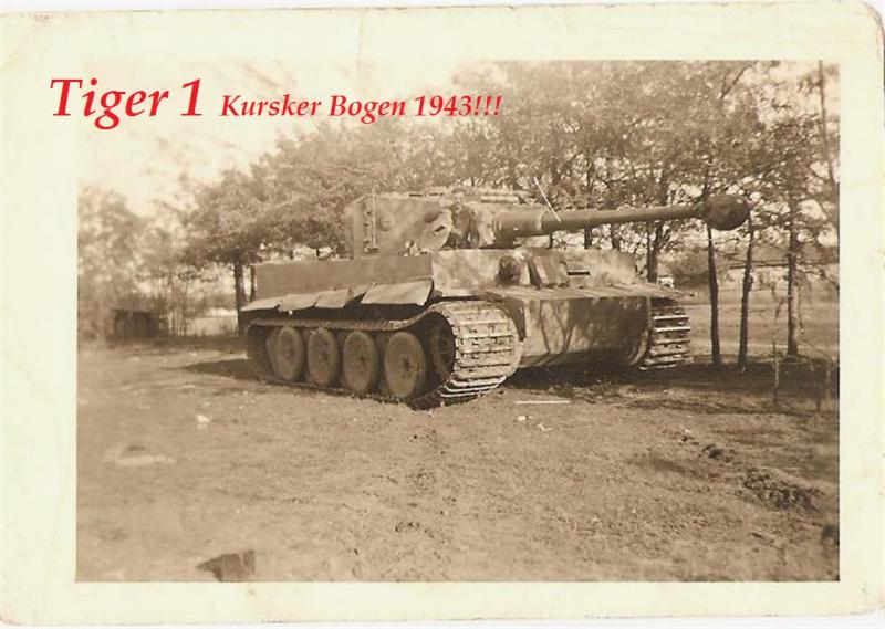 k2n8VU5tsqeS139387688995P1627