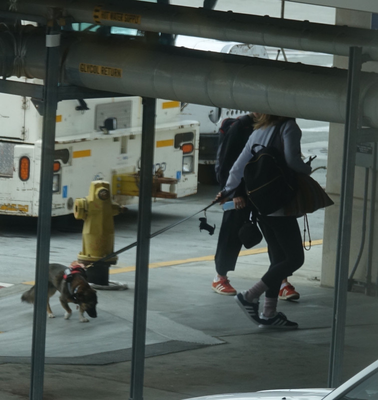 emmawatson-photogallery.blogspot.com (17)