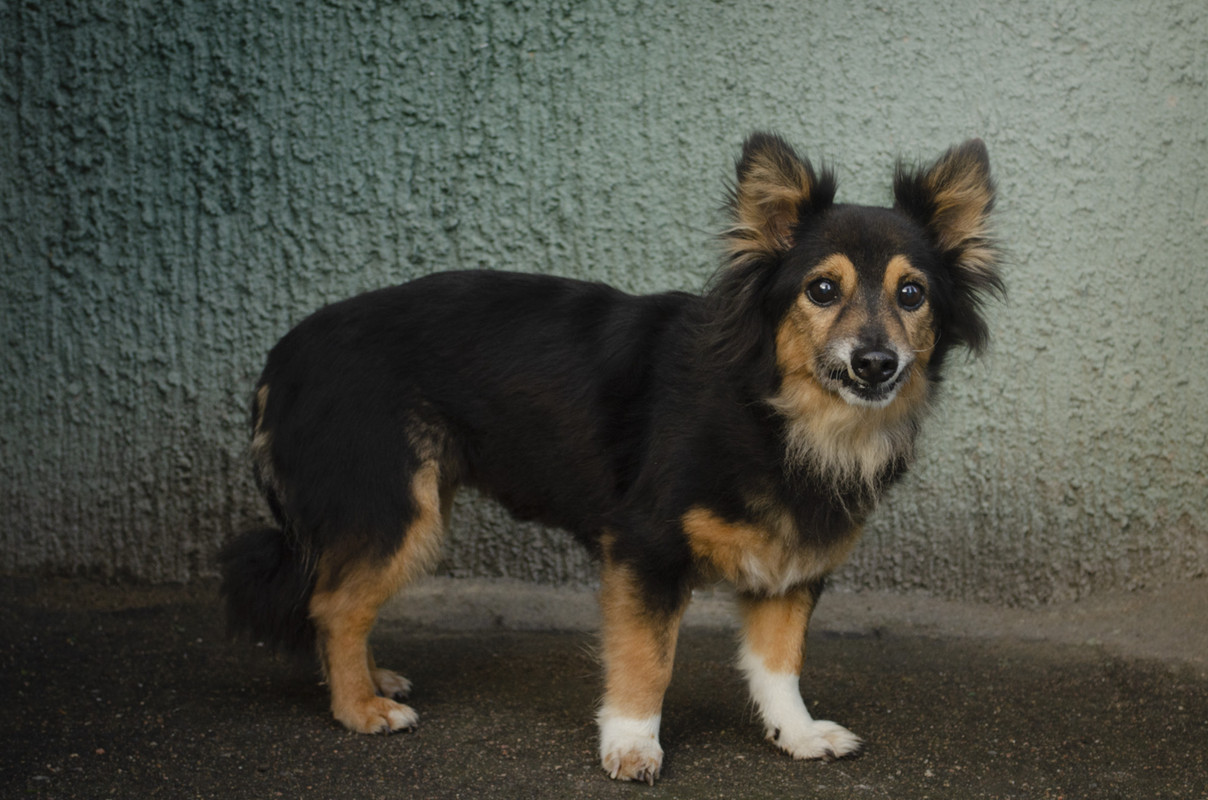 1A05D067-B704-4A2D-B528-9EBE44600464