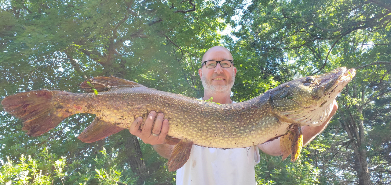 Pike2