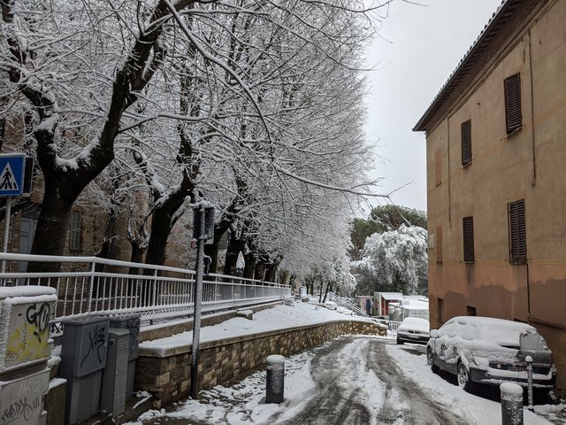 PXL_20210213_084659105.MP