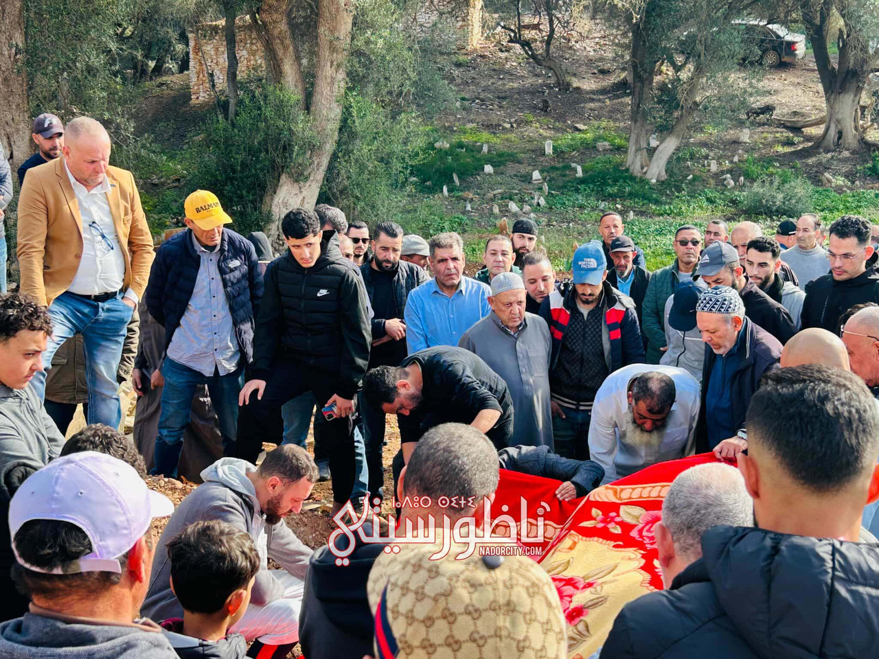 588857991-893645650497863-1054188252411256458-n