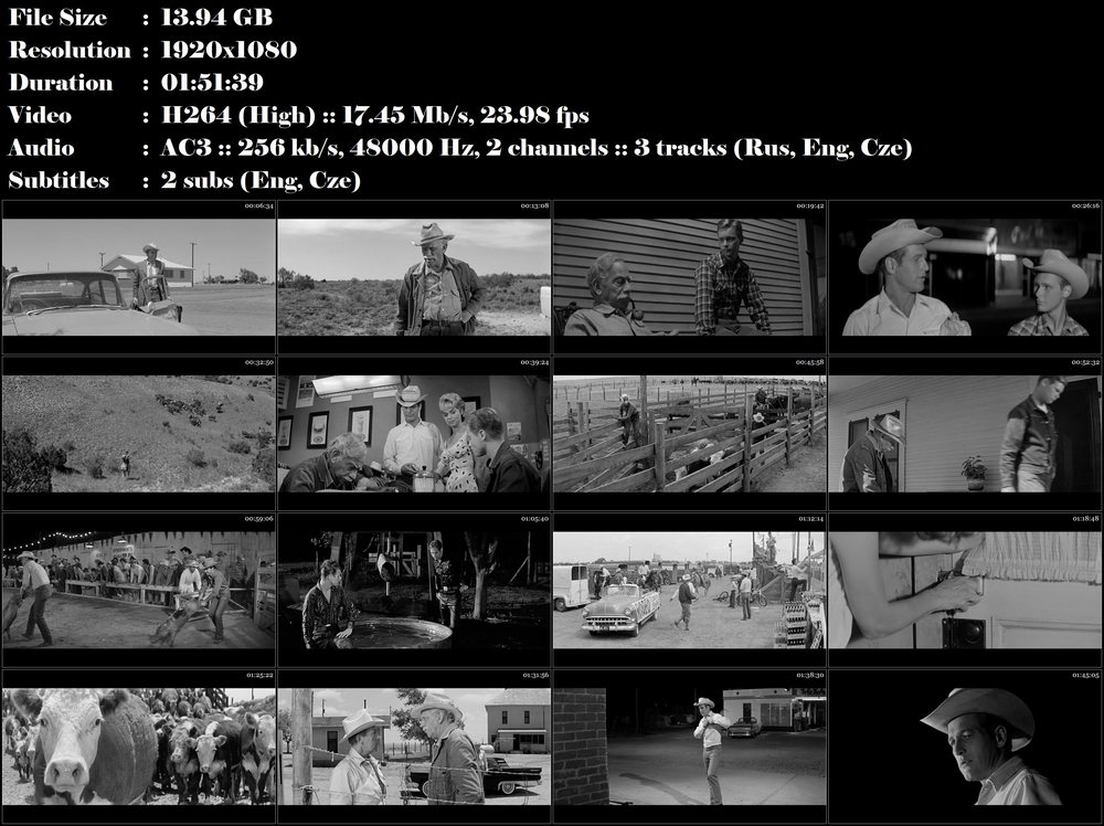 Hud (1963)