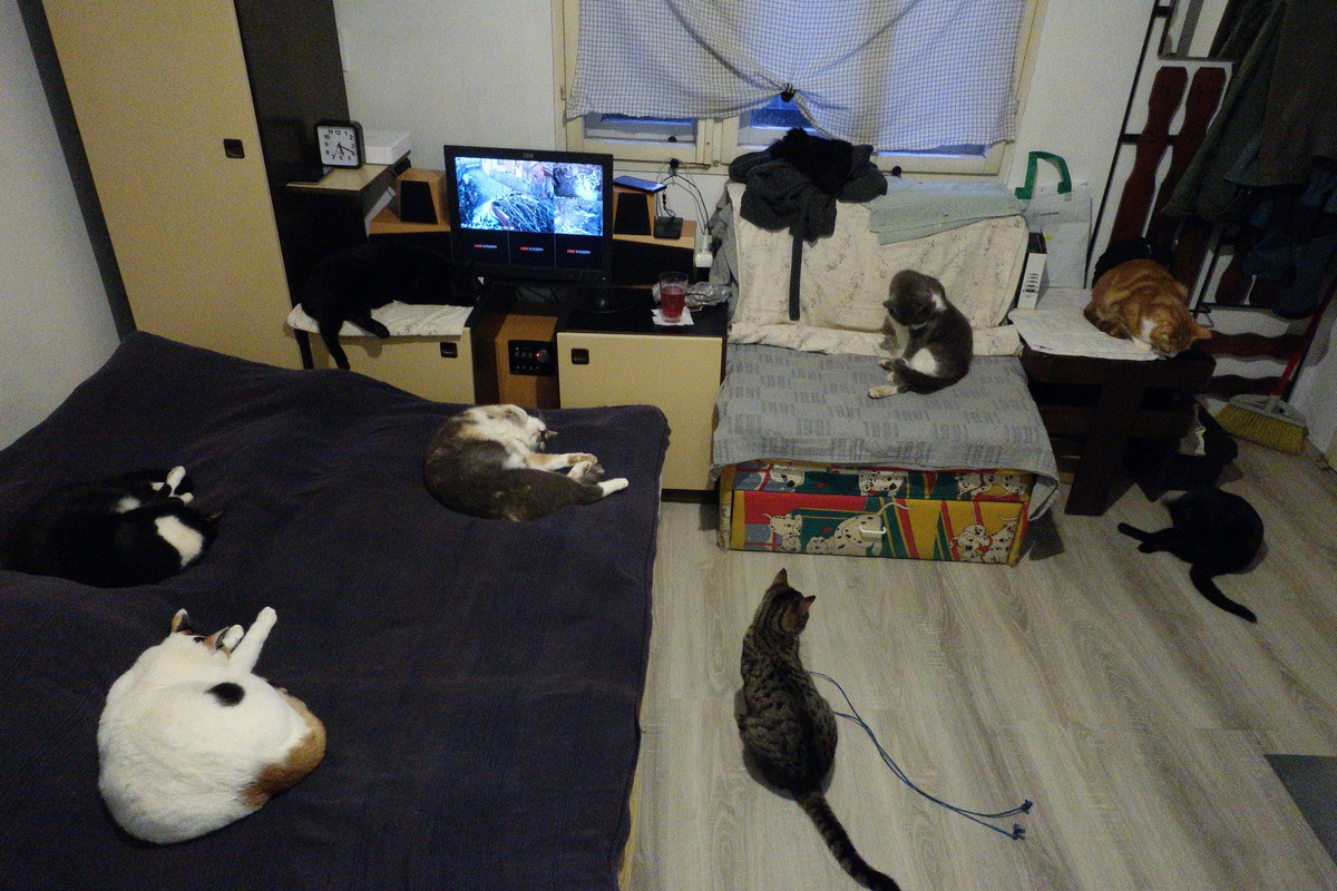 DSC02837.jpg