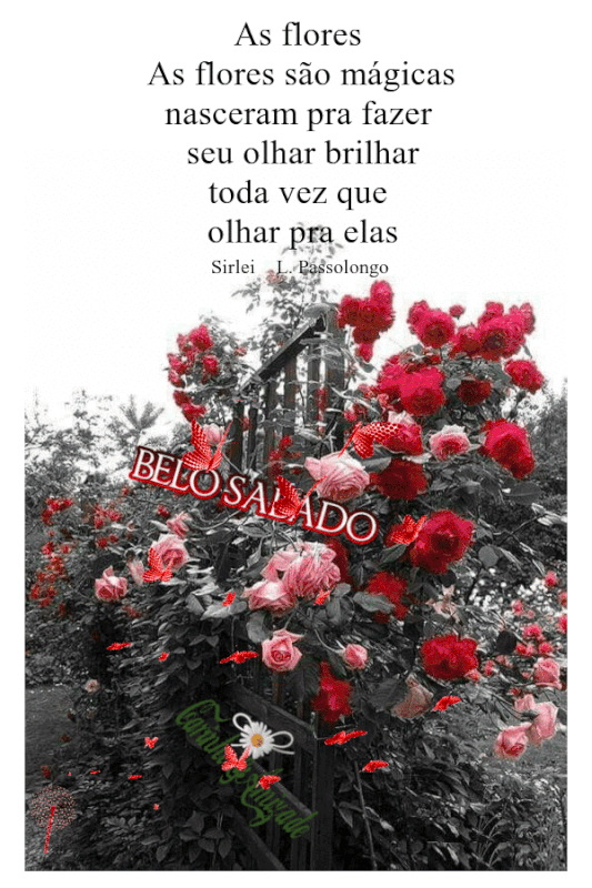 oie-oie-overlay-3.gif