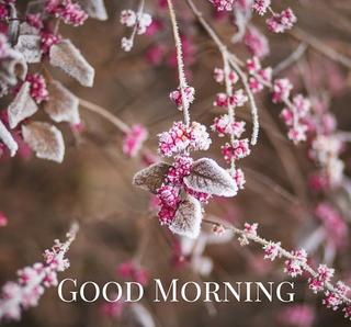 vartotojo �kelta nuotrauka