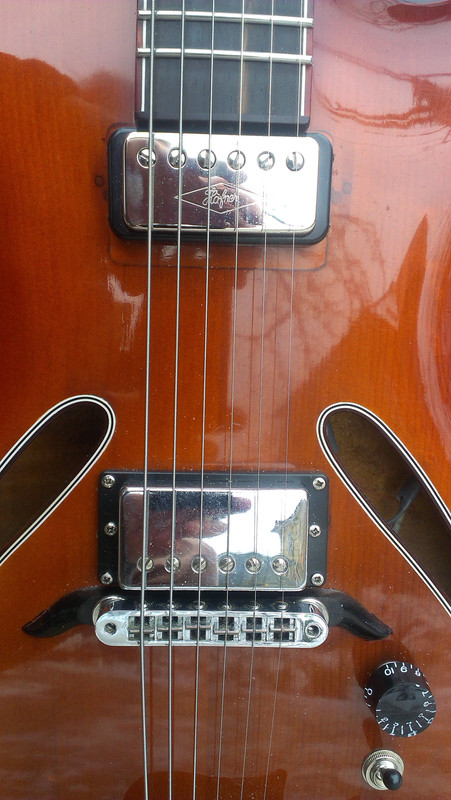 IMAG0501