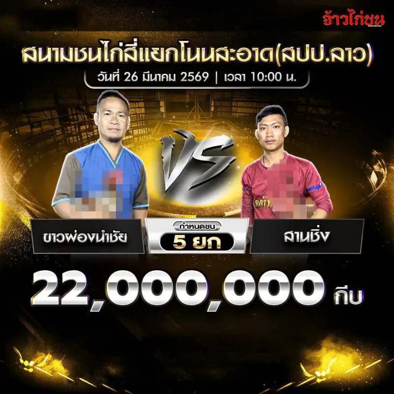 โปรแกรมไก่ชน คู่ ขาวผ่องนำชัย vs สานชิ่ง สนามชนไก่สี่แยกโนนสะอาด 26 มีนาคม 2569