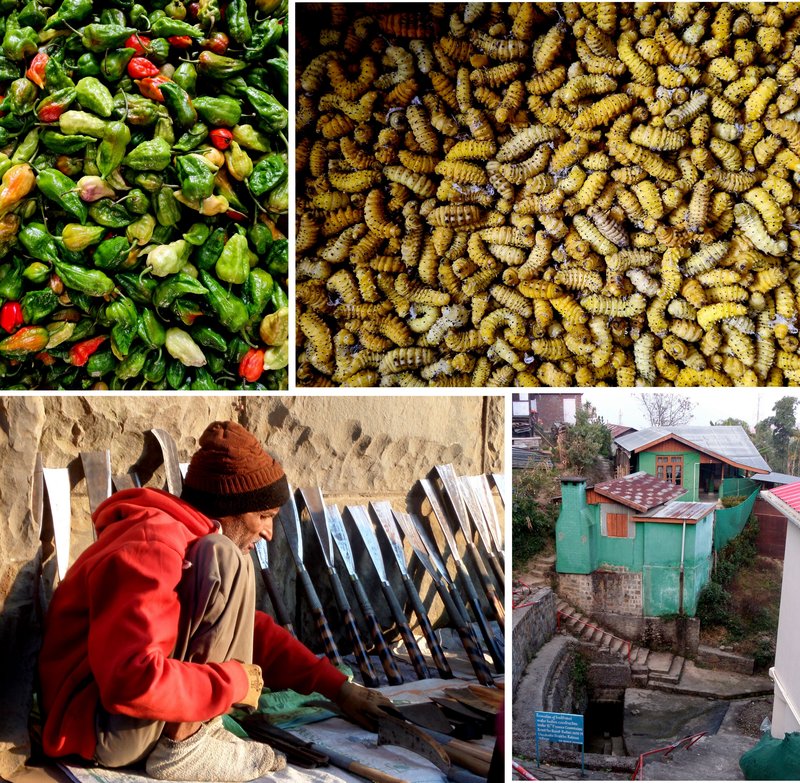 INDIA: Bambú, gurú y bodorrio hindú - Blogs de India - Nagaland: Kohima (5)