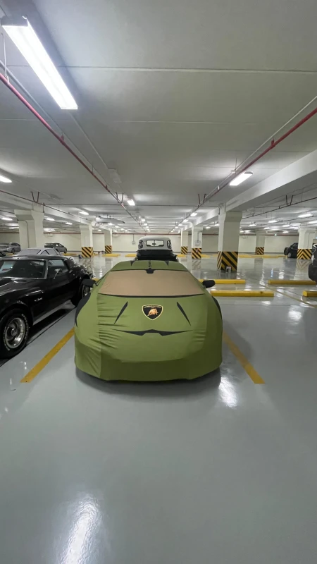 Lamborghini Huracan Dark Green Indoor Artistic Cover