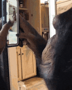 GIFs-10