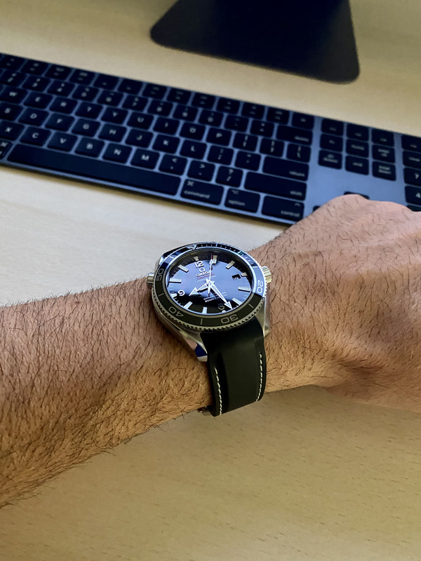 7E763A56-DEFE-4DBD-9910-72238F601CCC