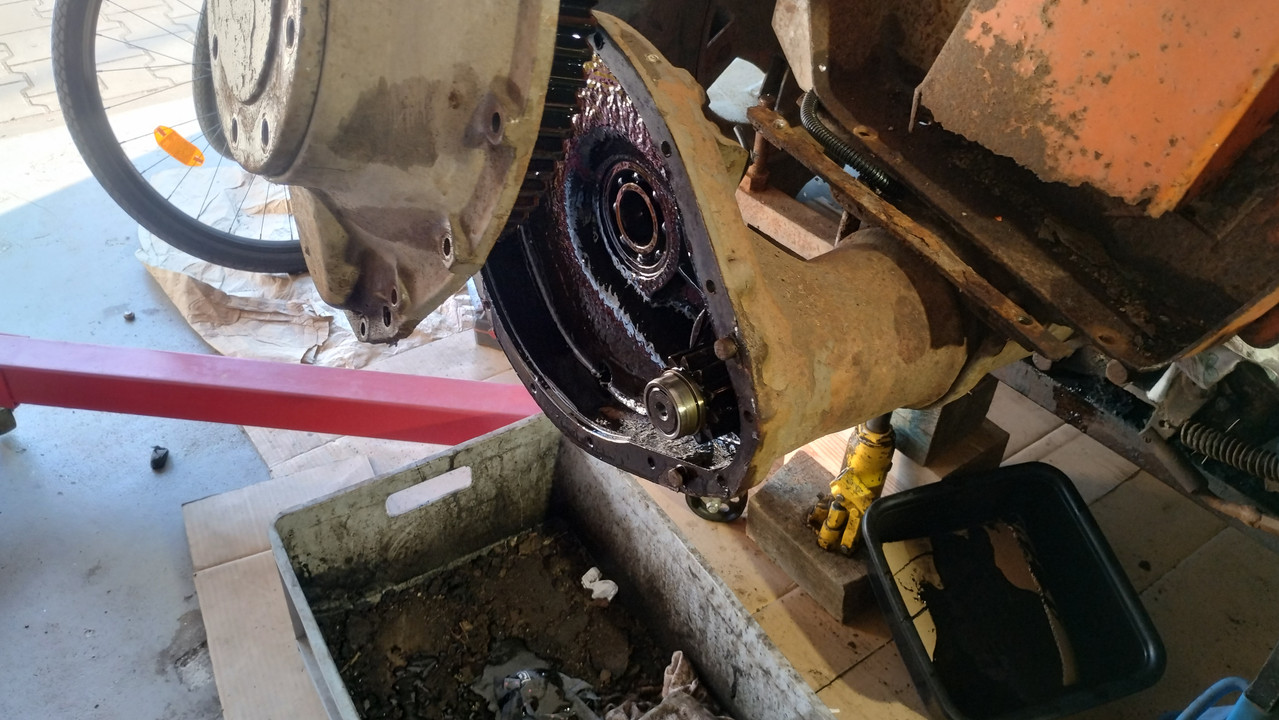 IMG 20250402 171219175 HDR