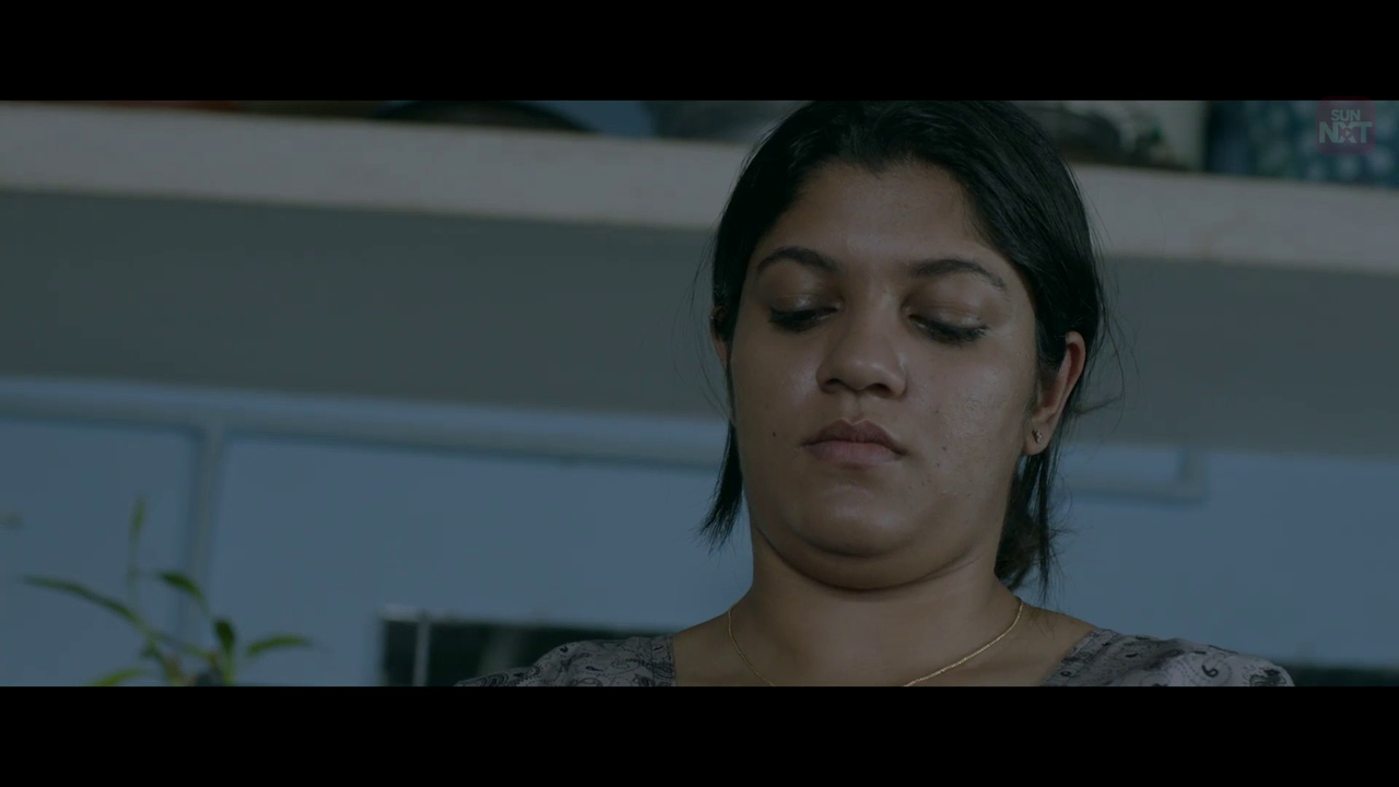 vlcsnap 2026 02 11 15h39m26s185