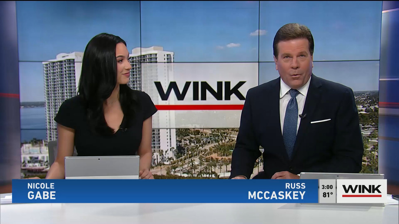 03.21 - 19.00.00 - WINK News at 3pm  ᴺᵉʷ..ts_snapshot_00.07.00.006
