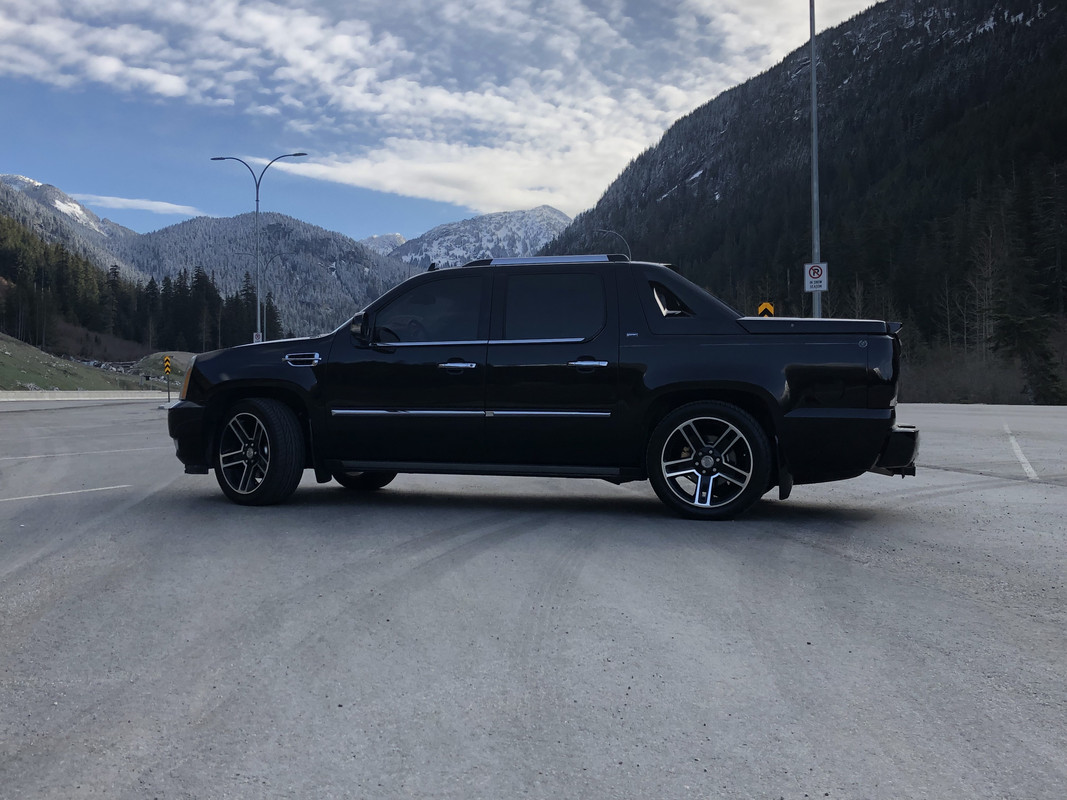 953A1265-3F1E-4878-B56A-B81FD86D3431