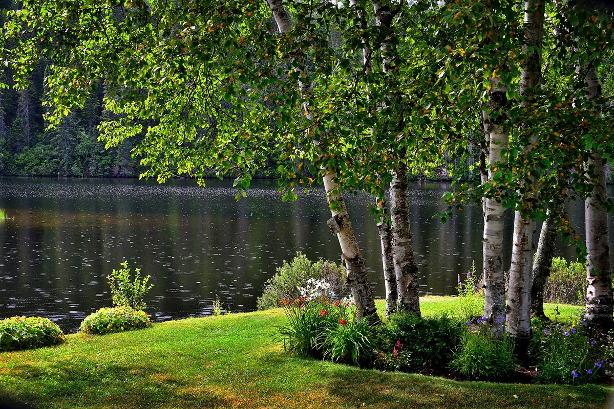 green-landscape-2577207-1280.jpg