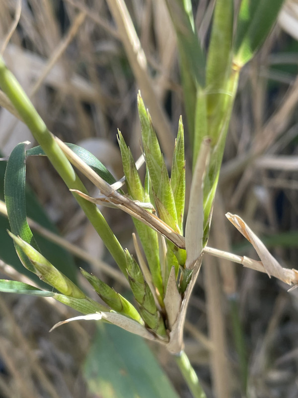 05CEAE85-ED8E-484A-B0CB-F6D1A55DF316