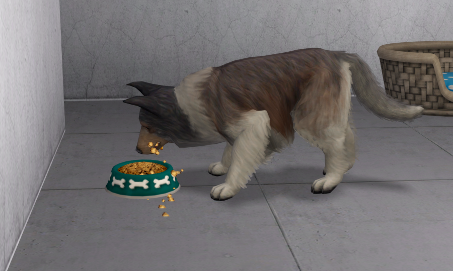 Sims2-EP9-RPC-2021-04-21-22-39-31-76