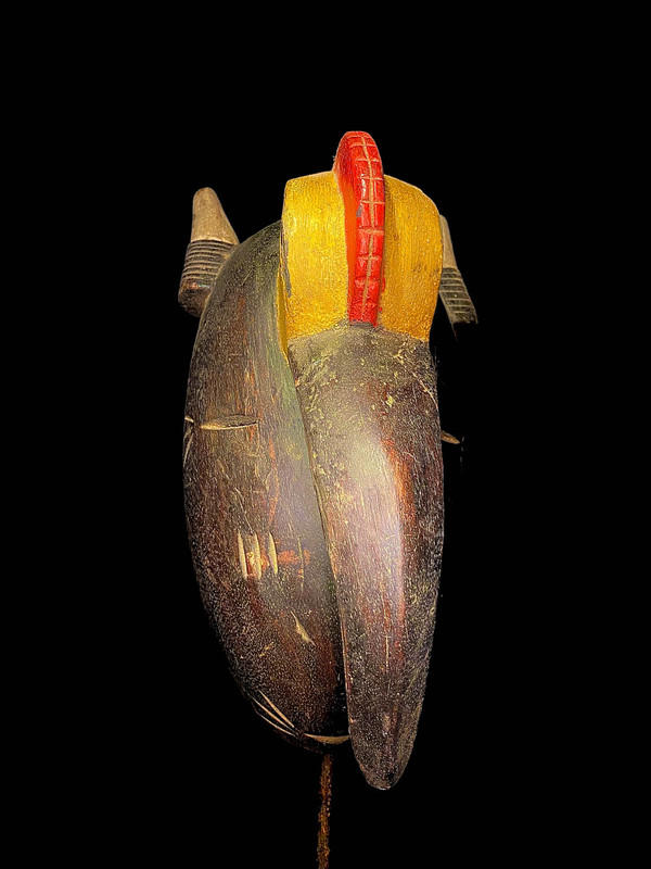large image 4