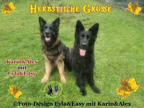 An den Beitrag angehängtes Bild: https://i.postimg.cc/D08v9D22/GB-Herbstliche-Gr-e-Nov.gif
