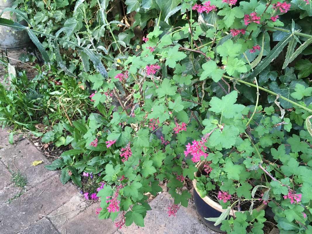 7C0309CB-6824-4409-98C7-FABC6BF3214D