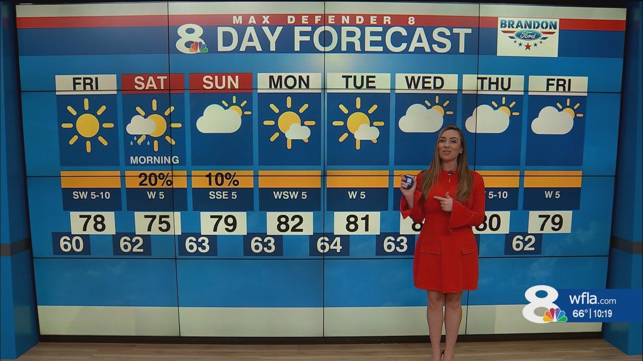 NewsChannel 8 News at 1000pm_20250131_03000330.ts_snapshot_20.41.830