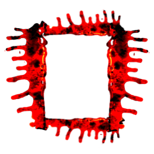 viscera