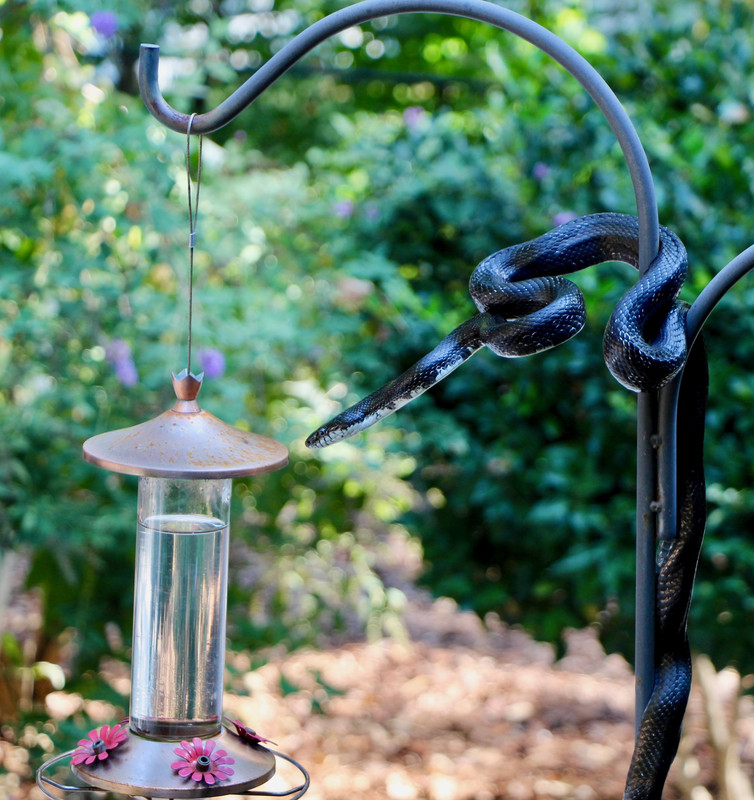 449D081C-2BA3-4C98-BA60-0ED7D7E68514