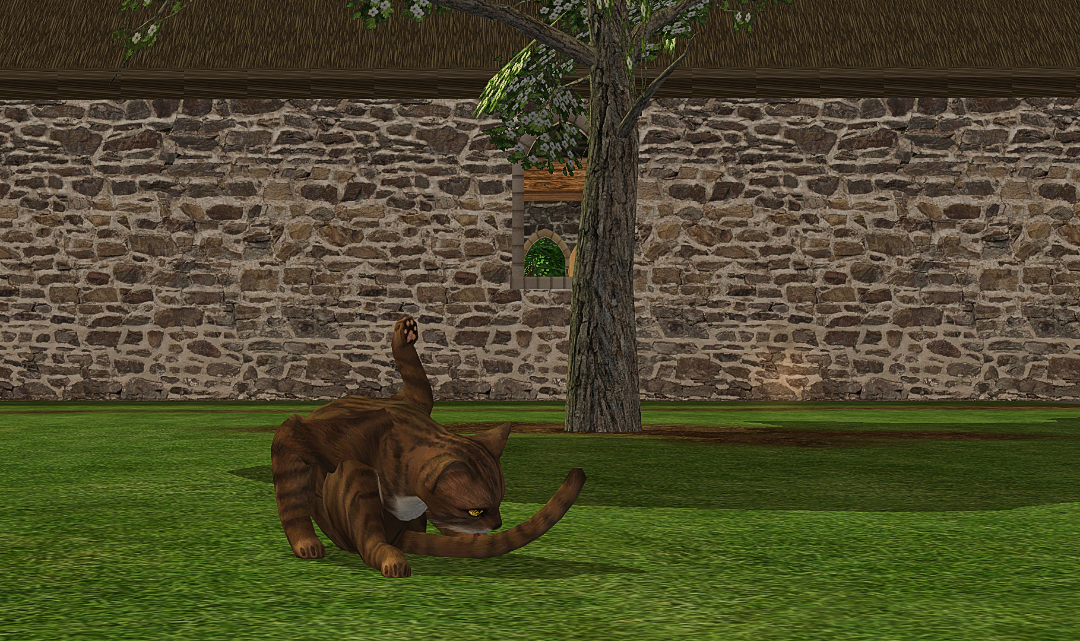 screenshot-2026-05-19-08-53-1