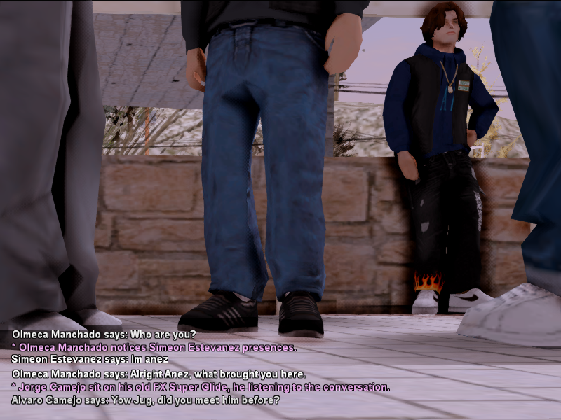 SSRP1.png