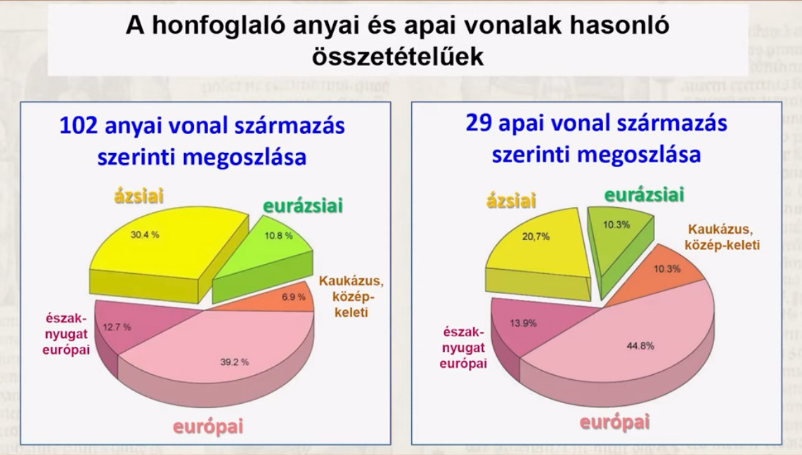 honfoglal-k-anyai-s-apai-vonalai.jpg