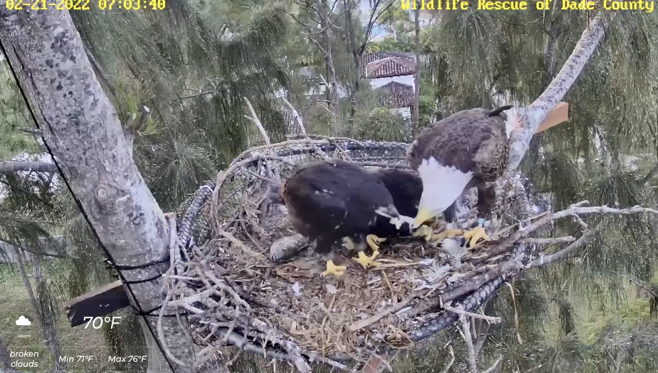 BFE29B43-C4BF-44E9-A747-9991A823F1C4