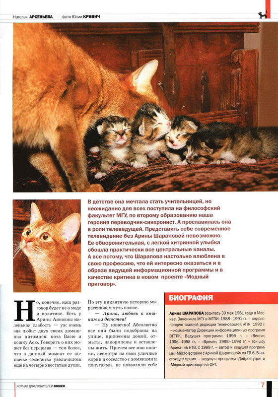 Друг кошек 2008-01-07