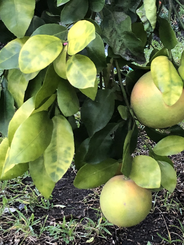 5F32D4D6-7BDC-4D8E-8417-9AC1957DE239