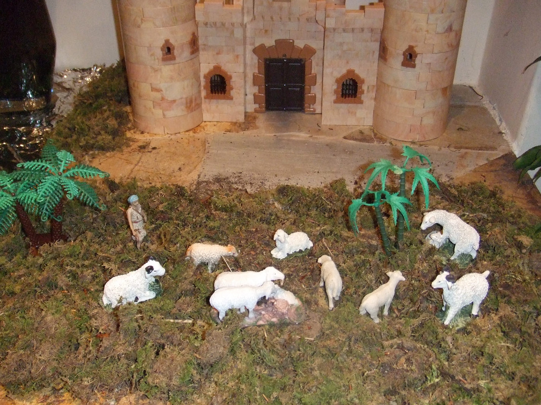 Belen 2014 021