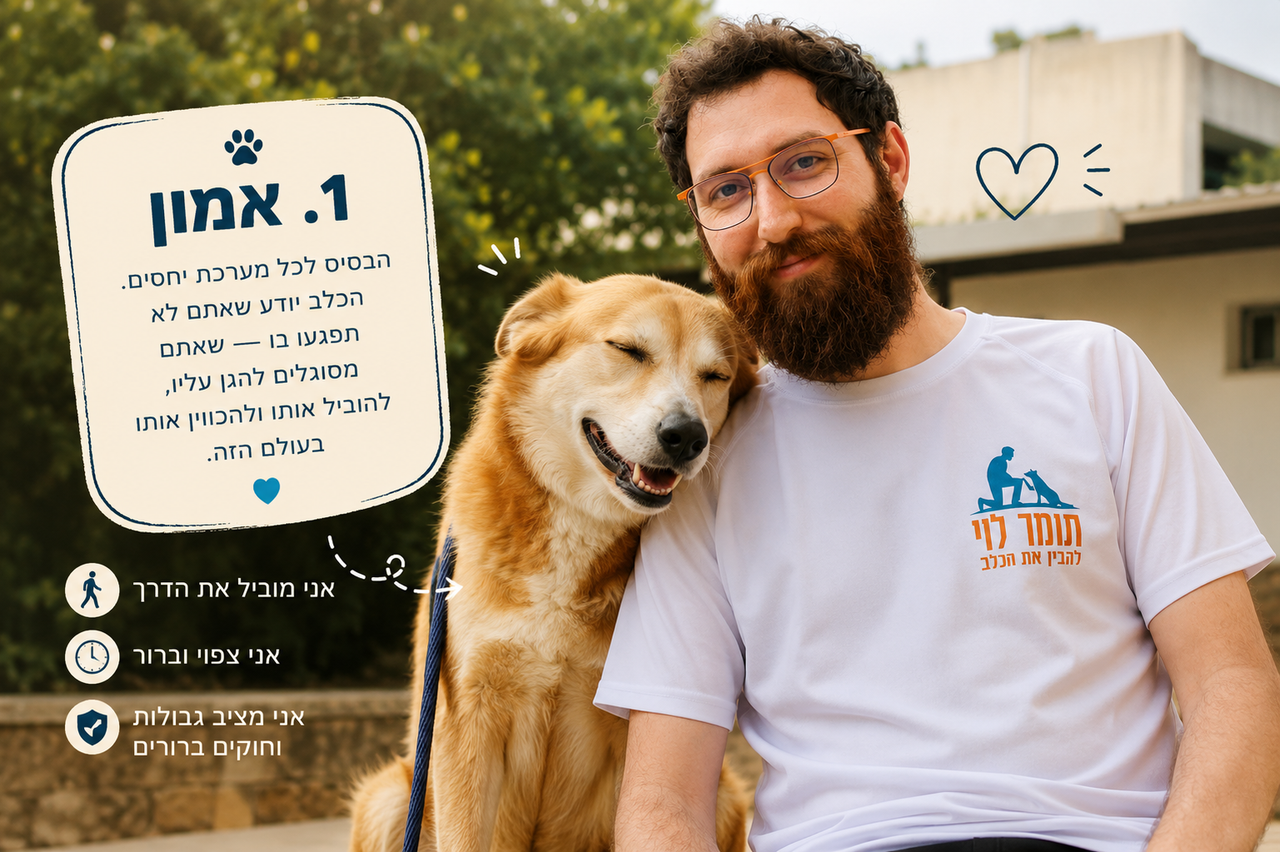 אמון עם הכלב