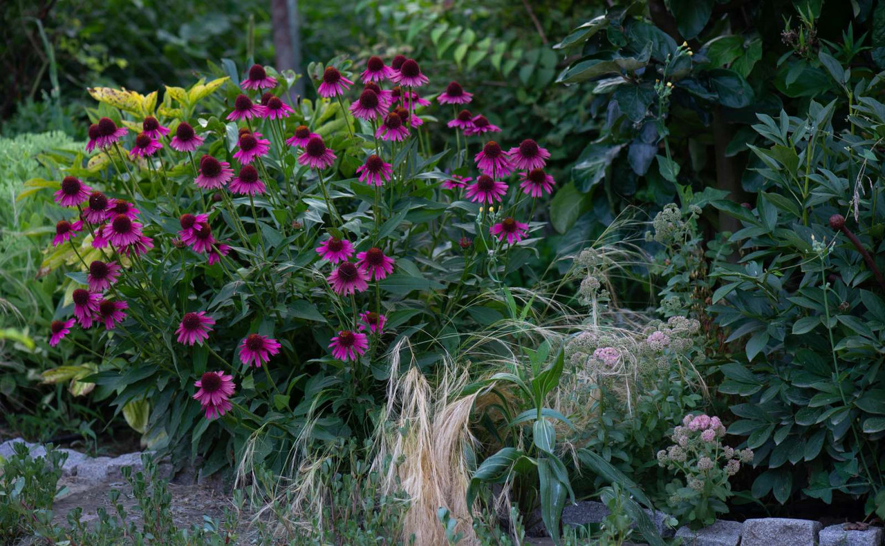 IMG-c848337e06b14c3cf7b2ab7964fd2177-V