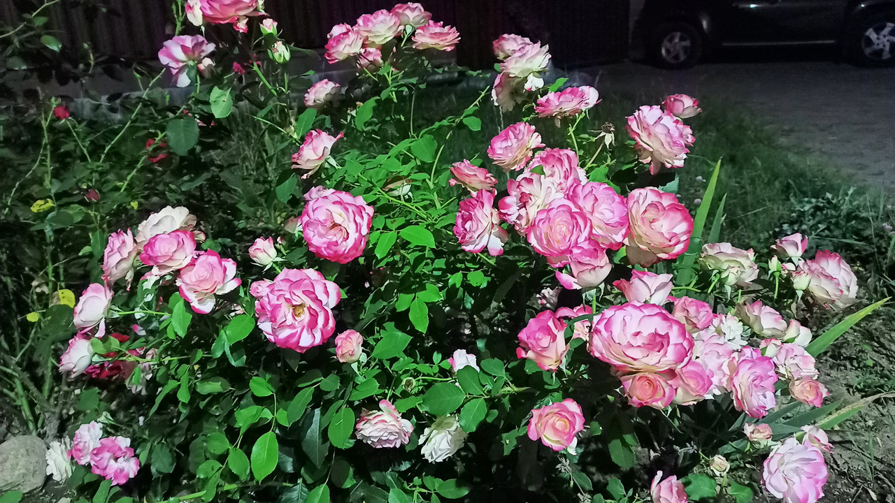 IMG20220828212440