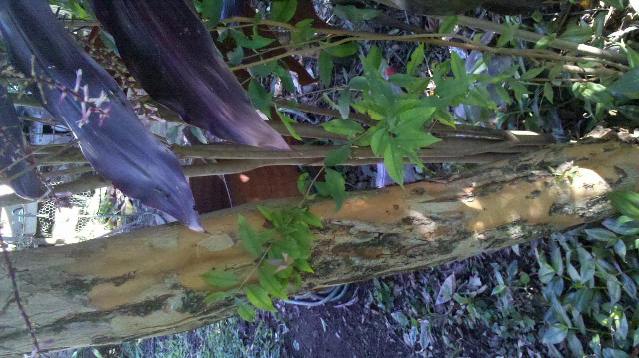 2013-06-07_15-07-55_573