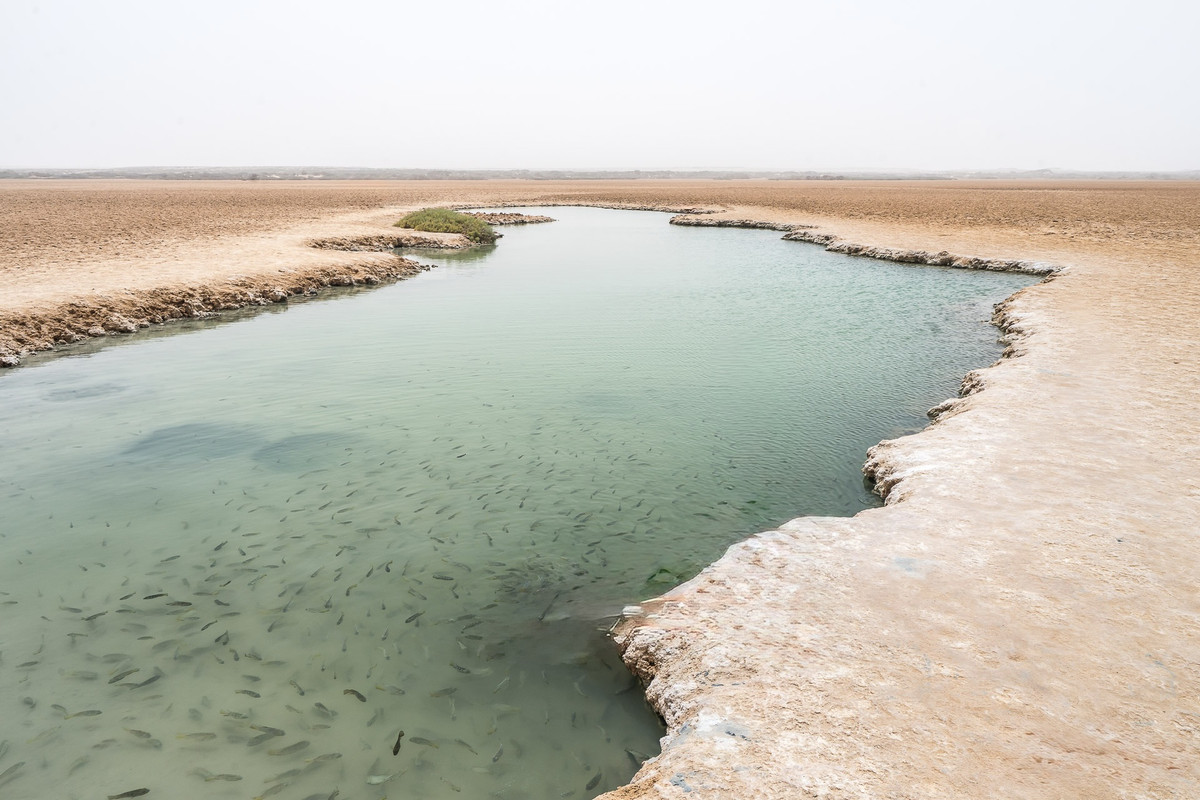 Villa Cisneros (Dakhla) y la Peninsula de Rio de Oro - El Sahara Occidental (97)