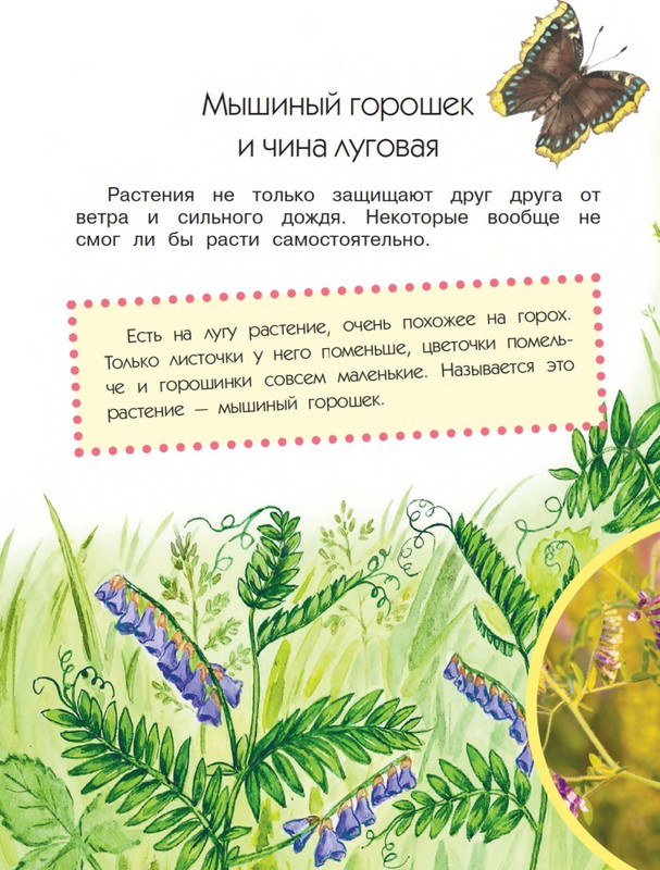 Onegov-Anatolij-Pochemu-kukushka-slozki-lot-page-0039