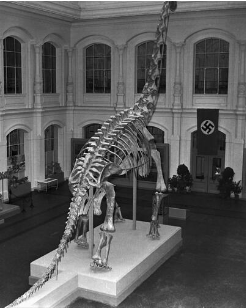 <a href='https://skeletron8000.neocities.org/Mesozoic/Brachiosaurus'>Brachiosaurus</a> with an intresting flag in the backround