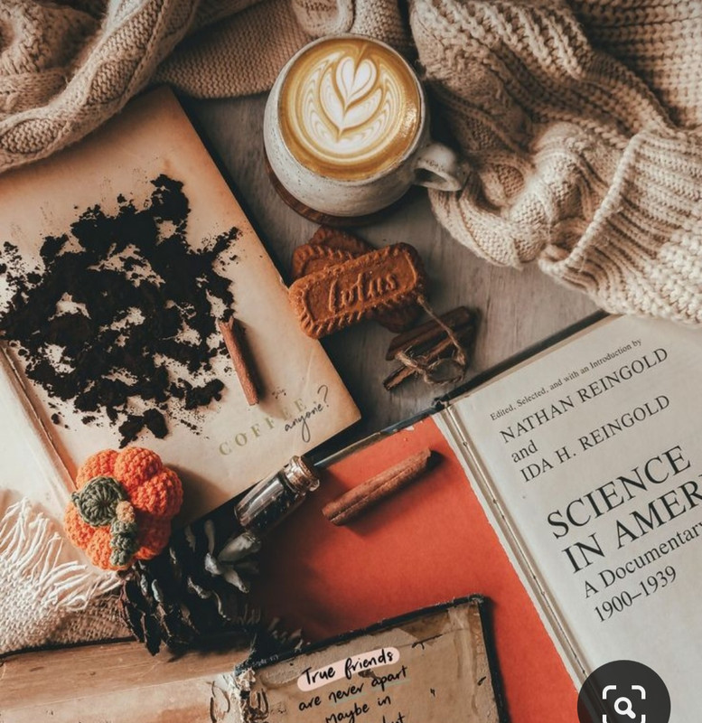 Screenshot_20230911_222042_Pinterest