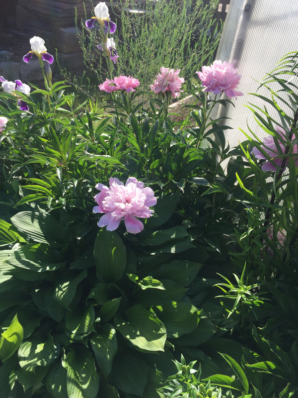 B3A341A7-272A-429F-8BC7-2749307C1162