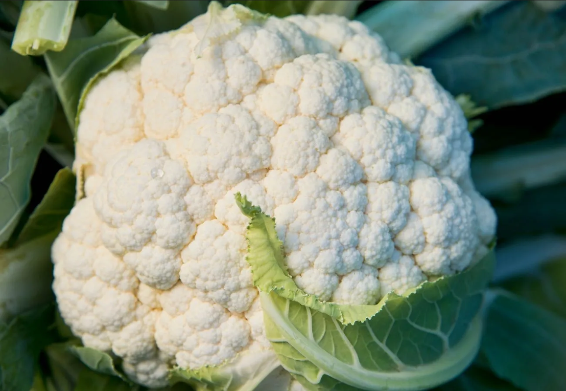 Conoce los beneficios de incluir coliflor en tu dieta