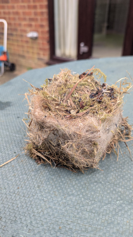 PXL 20251229 105708221 MP